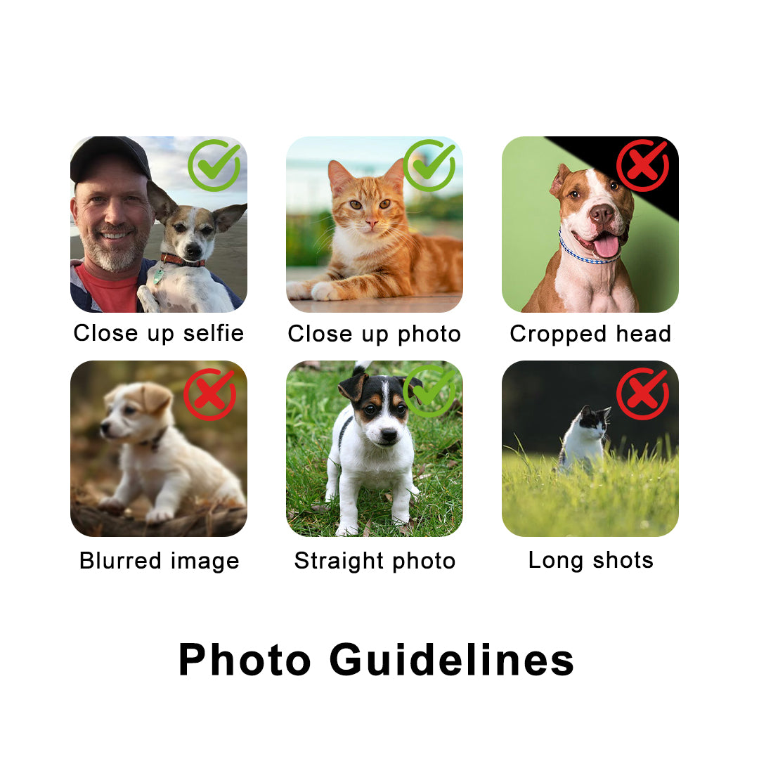 Personalized Pet Portraits
