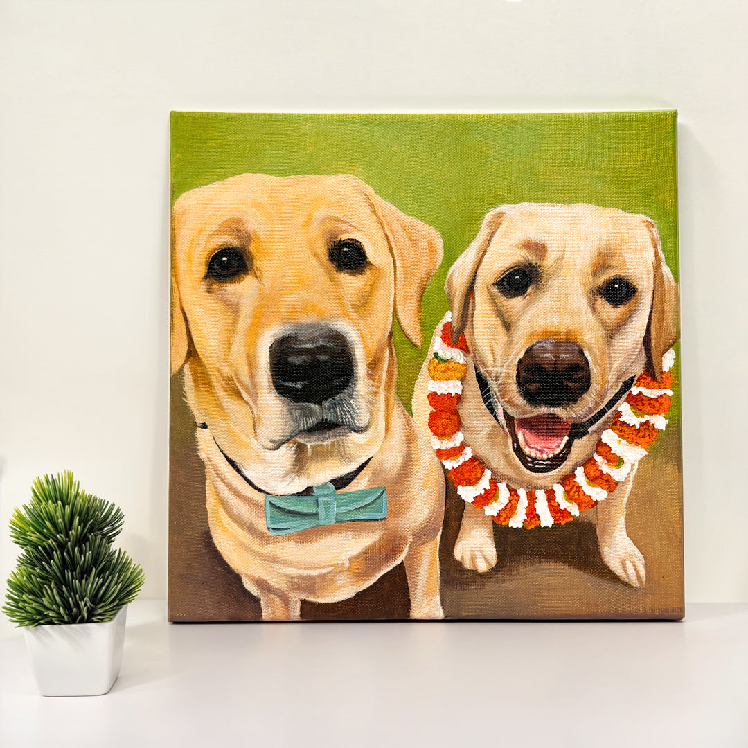pet portraits