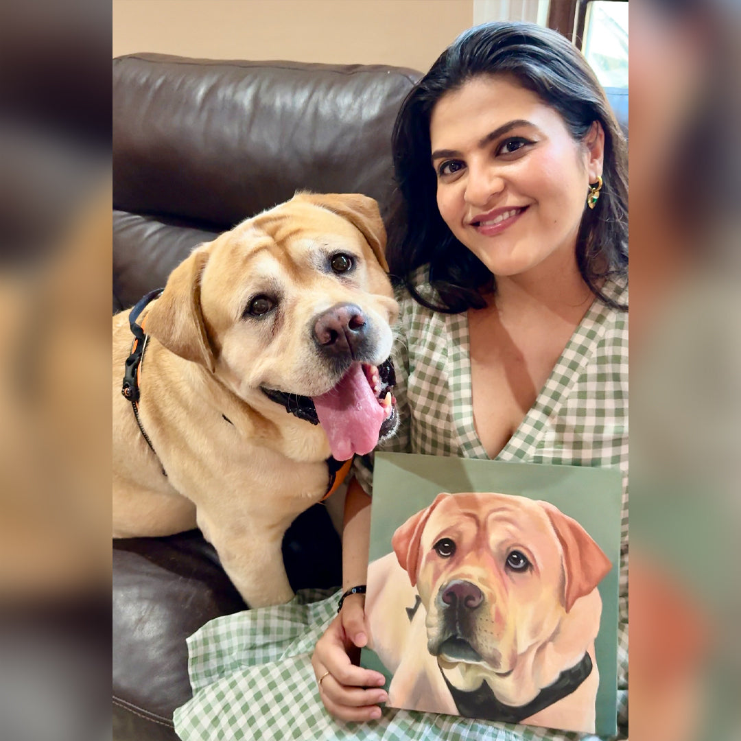 pet portraits
